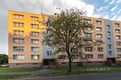 Prostorný rodinný byt 3+1 (69 m2) s lodžíí po částečné rekonstrukci - Český Těšín, ul. Mládežnická, cena 2480000 CZK / objekt, nabízí 
