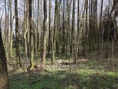 Prodej lesa 8 504 m, Sedlec-Prčice - Sušetice, cena 445000 CZK / objekt, nabízí 