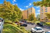 Prodej, byt, 4+1, 76 m, družstevní vlastnictví, Jirkov, ul. Na Borku, cena 2350000 CZK / objekt, nabízí 