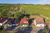 Vinný sklep 83m2, pozemky 8.420m2, Blatince pod Svatým Antonínkem, cena 5999000 CZK / objekt, nabízí 