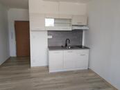 Pronájem bytu 1+kk po rekonstrukci, OV, 20m2, cena 11215 CZK / objekt / měsíc, nabízí 