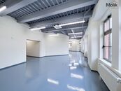 Pronájem kanceláří, Dresdner Thor 20 - 200 m2 , Teplice, ul. U Divadla, cena 220 CZK / m2 / měsíc, nabízí 