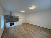 Pronájem, Byt 1+kk, Doloplazy, cena 10000 CZK / objekt / měsíc, nabízí OK REAL ESTATE s.r.o.