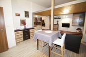 Pronájem bytu 1+kk 46 m2, Brno - Trnitá, cena 16500 CZK / objekt / měsíc, nabízí 