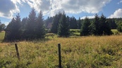 Prodej louky 2 445 m2, Malá Úpa - Dolní Malá Úpa, cena 6760000 CZK / objekt, nabízí Realitní kancelář Pohoda Brno