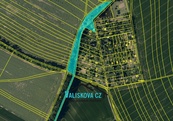 Nabízí prodej les Kroměříž 7694 m2 - Barbořina, cena 250000 CZK / objekt, nabízí Valiskova.cz - osobní průvodce realitami