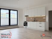 Pronájem, byty/1+kk, 33.02 m2, Rolnická 151/62, Kateřinky, 74705 Opava (nečleněná část města) [ID 71, cena 12000 CZK / objekt / měsíc, nabízí 