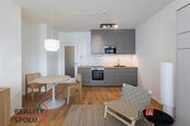 Pronájem, byty/1+kk, 32 m2, U průhonu 700/10, 17000 Praha, Hlavní město Praha [ID 73981], cena 20000 CZK / objekt / měsíc, nabízí Realityspolu
