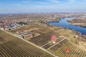 Prodej, pozemky/vinice/sady, 2791 m2, Velké Bílovice , Břeclav [ID 82236], cena 5050000 CZK / objekt, nabízí Realityspolu