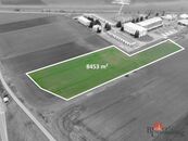 Prodej, pozemky/pole, 8453 m2, Perná, Břeclav [ID 81982], cena 3490000 CZK / objekt, nabízí 