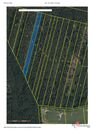 Prodej, pozemky/les, 32388 m2, Břilice , Třeboň, Jindřichův Hradec [ID 88419], cena 1600000 CZK / objekt, nabízí Realityspolu