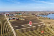 Prodej, pozemky/vinice/sady, 2791 m2, Velké Bílovice , Břeclav [ID 90402], cena 3900000 CZK / objekt, nabízí 
