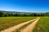 Prodej, pozemky/louka, 3075 m2, 67937 Borotín, Blansko [ID 90617], cena 149000 CZK / objekt, nabízí 