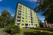 Prodej byt 1+kk, Hroznatova ulice, Marianské Lázně - Ušovice, cena 1490000 CZK / objekt, nabízí 