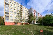 Pronájem, byty/2+1, 60 m2, Komenského 1077/81, 32300 Plzeň, Plzeň-město [ID 91459], cena 16000 CZK / objekt / měsíc, nabízí 