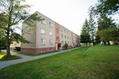 Pronájem, byt 3+1, Holice, cena 15000 CZK / objekt / měsíc, nabízí 