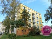 Pronájem studentského jednolůžkového pokoje v bytě 3+1 na ulici Nešporova v Olomouci, cena 5000 CZK / objekt / měsíc, nabízí