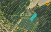 Zemědělská půda, prodej, Ostřetín, Pardubice, cena 580000 CZK / objekt, nabízí 