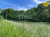 Louka, prodej, Oldřichovice, Třinec, Frýdek-Místek, cena 175 CZK / m2, nabízí Realitní kancelář STING, s.r.o.