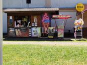 Ostatní komerční objekt, prodej, Havířská, Nové Město, Karviná, cena 250000 CZK / objekt, nabízí Realitní kancelář STING, s.r.o.