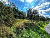 Stavební pozemek Životice u Nového Jičína, cena 1550 CZK / m2, nabízí 