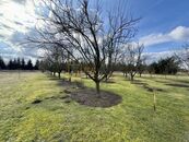 Prodej, zahrada, Uherské Hradiště - Sady, cena 290000 CZK / objekt, nabízí REAL PREMIUM s.r.o.