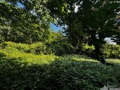 Prodej 7.834 m2 pozemků, Tiché údolí, Roztoky, cena 80000000 CZK / objekt, nabízí 