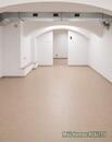  Pronájem sklepních prostor o celkové výměře cca 220 m² Praha Uhříněves, cena 30000 CZK / objekt / měsíc, nabízí Můj domov REALITY s.r.o.