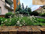 Prodej bytu 3+1 s balkónem, SNP, Ústí nad Labem, cena 2500000 CZK / objekt, nabízí