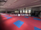 Pronájem zavedeného fitness, cena 14000 CZK / objekt / měsíc, nabízí 