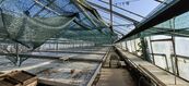 Zemědělský areál (pozemky) o celkové výměře 11.704 m2 v Holicích, cena 8700000 CZK / objekt, nabízí 