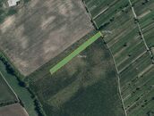 Sady, vinice, prodej, Prušánky, Hodonín, cena 249102 CZK / objekt, nabízí MojePole.cz