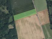 Zemědělská půda, prodej, Krakovec, Laškov, Prostějov, cena 1267200 CZK / objekt, nabízí 