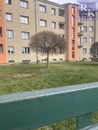 Pronájem byt 3+1 107 m2, zahrada k užívání, Ostrava, cena 14500 CZK / objekt / měsíc, nabízí 