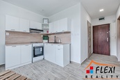 Pronájem bytu v os.vlastnictví 1+1, 36m2 ul. K Hájku, Frýdek-Místek, cena 10000 CZK / objekt / měsíc, nabízí FLEXI REALITY s.r.o.