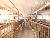 PRONÁJEM NETOPENÉHO SKLADU 400 m2