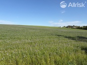 Prodej pozemku 2 477 m2 - Bílovec, cena 5201700 CZK / objekt, nabízí 