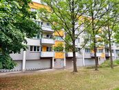 Byt, Pokoj, pronájem, Markovická, Slezské Předměstí, Hradec Králové, cena 8500 CZK / objekt / měsíc, nabízí 
