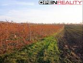 Mladý registrovaný vinohrad ve vinařské obci Perná, cena 370 CZK / m2, nabízí