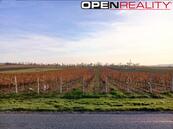 Mladý registrovaný vinohrad ve vinařské obci Perná, cena 370 CZK / m2, nabízí OPENREALITY, realitní kancelář, s.r.o.