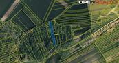 Prodej lesního pozemku 2 950 m2 Nikolčice (okres Břeclav), cena 35 CZK / m2, nabízí 
