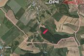Prodej atraktivního lesního pozemku 4 819 m2 Šitbořice (okres Břeclav), cena 40 CZK / m2, nabízí 