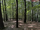 Lesní pozemek 21 884 m2 v atraktivní lokalitě Rusava (Hostýnské vrchy), cena 80 CZK / m2, nabízí 