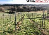 Plodící vinohrad v Radostíně nad Oslavou, cena 2205000 CZK / objekt, nabízí OPENREALITY, realitní kancelář, s.r.o.