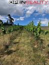 Plodící vinohrad v Radostíně nad Oslavou, cena 2205000 CZK / objekt, nabízí 