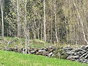 Prodej pozemku 3 303 m² v srdci Krkonoš Paseky nad Jizerou (KRNAP), cena 750000 CZK / objekt, nabízí 