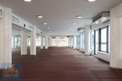 Pronájem nebytových prostor (360 m2), Agora Flora, Praha 3 - Vinohrady, Chrudimská, cena cena v RK, nabízí 