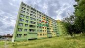Prodej, byt 4+1, DV, Litvínov - Janov, ul. Hamerskáv, cena 789000 CZK / objekt, nabízí 