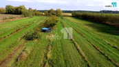 Prodej, Zahrada, Kladruby nad Labem, cena 2650000 CZK / objekt, nabízí REAL ESTATE CZECH REPUBLIC a.s.