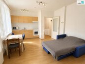 Pronájem, Byt 1+kk, Brno, cena 19000 CZK / objekt / měsíc, nabízí REAL ESTATE CZECH REPUBLIC a.s.